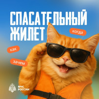 Жилет обязателен: правила безопасности на воде Жилет обязателен: правила безопасности на воде.
